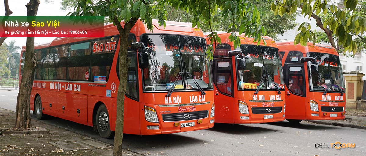 nha-xe-sao-viet-ha-noi-yen-bai