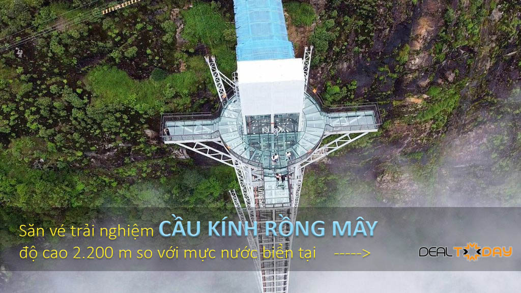 san-ve-cau-kinh-rong-may