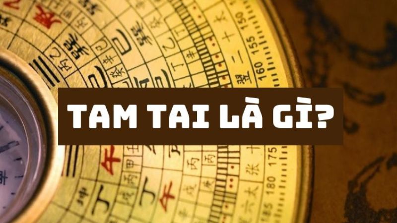 tam-tai-la-gi