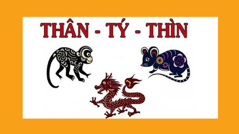 con-giap-gap-tam-tai-2024