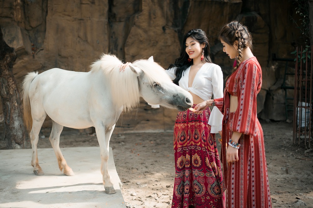 Safari-thien-duong-bao-son